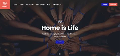best wordpress themes for nonprofits|8 Best WordPress Nonprofit Themes in 2024 .